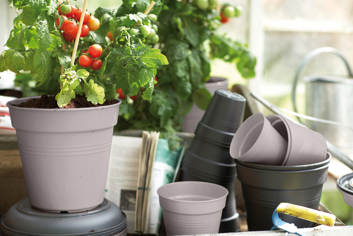 green basics pot de culture 15cm lilas délavé